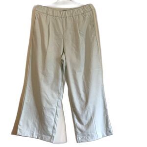 NWT Ann Taylor Petites Pants Mint Wide Leg Pull Up Trousers Pockets Petite Sz LP
